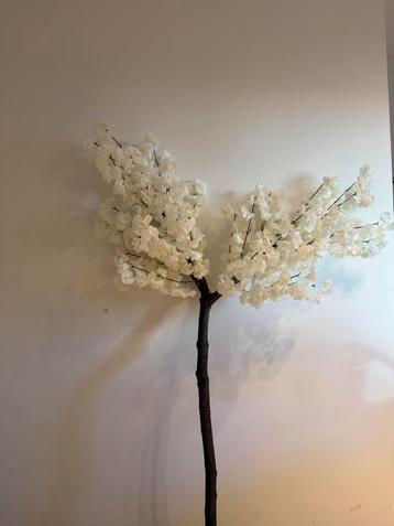 Witte bloesemboom – 180 cm hoog, beschikbaar voor biedingen