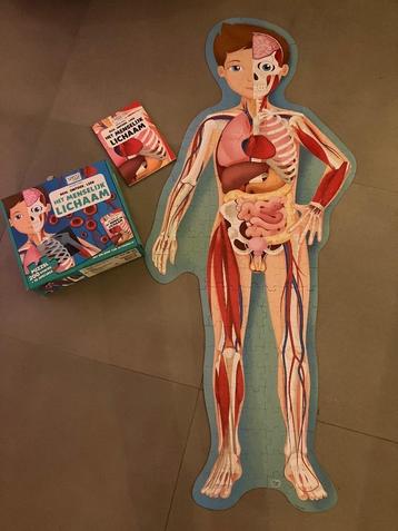 Puzzel Het menselijk lichaam
