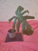 De Monstera Deliciosa „Variegata” plant, Huis en Inrichting, Ophalen, Overige soorten, Halfschaduw, Minder dan 100 cm
