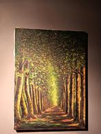 Boszicht, Antiek en Kunst, Kunst | Schilderijen | Klassiek, Ophalen