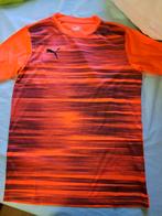 Sport shirt Puma 14/16 jaar, Sport en Fitness, Voetbal, Ophalen of Verzenden, Zo goed als nieuw, Shirt
