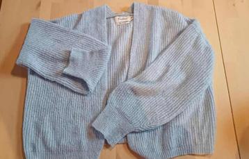 Gilet bleu en maille Taille M/L beschikbaar voor biedingen