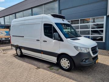 Mercedes-Benz Sprinter 316 CDI Koelwagen Carrier Xarios 350  beschikbaar voor biedingen