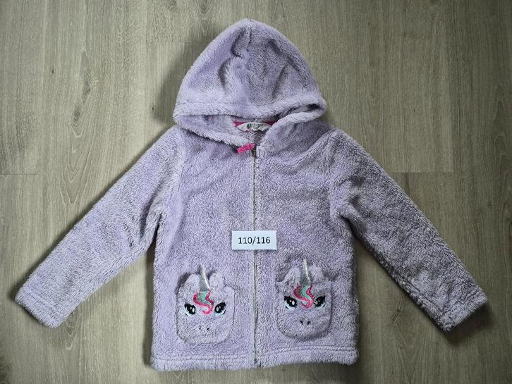 Meisjeskledij maat 110 (5 jaar), Kinderen en Baby's, Kinderkleding | Maat 110, Gebruikt, Meisje, Ophalen of Verzenden