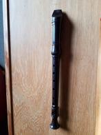 Flûte à bec d’apprentissage, Enlèvement ou Envoi, Avec valise, étui ou housse