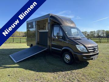 Mercedes-Benz Sprinter 2-paards paardenvrachtwagen B-Rijbewi, Gebruikt, Overige typen