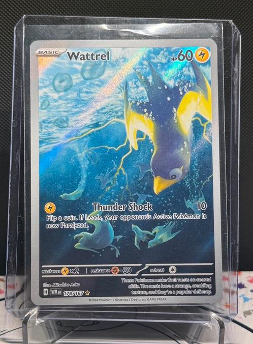 Wattrel - 178/167, Hobby en Vrije tijd, Verzamelkaartspellen | Pokémon, Nieuw, Losse kaart, Foil, Ophalen of Verzenden