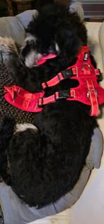 Anti ontsnapping harnas. 6 punt harnas., Dieren en Toebehoren, Ophalen