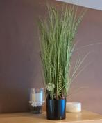 Kunstplant, Huis en Inrichting, Ophalen, Gebruikt, Binnen