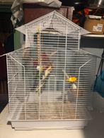 Grande cage pour oiseaux + Calopsitte, Enlèvement, Comme neuf