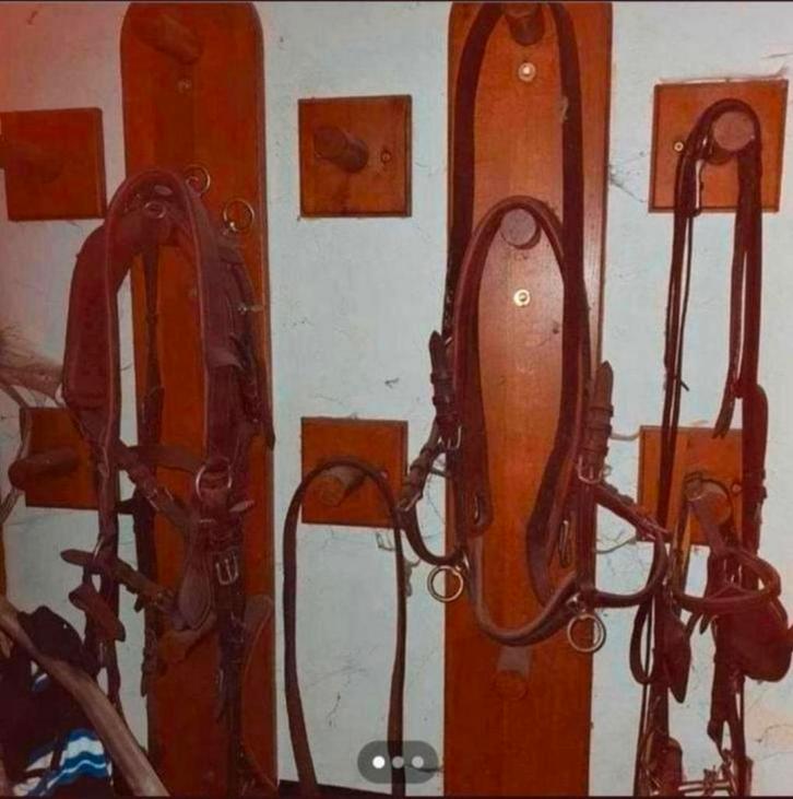 Kit de suspension pour harnais et bride, Animaux & Accessoires, Chevaux & Poneys | Brides & Harnachement, Enlèvement