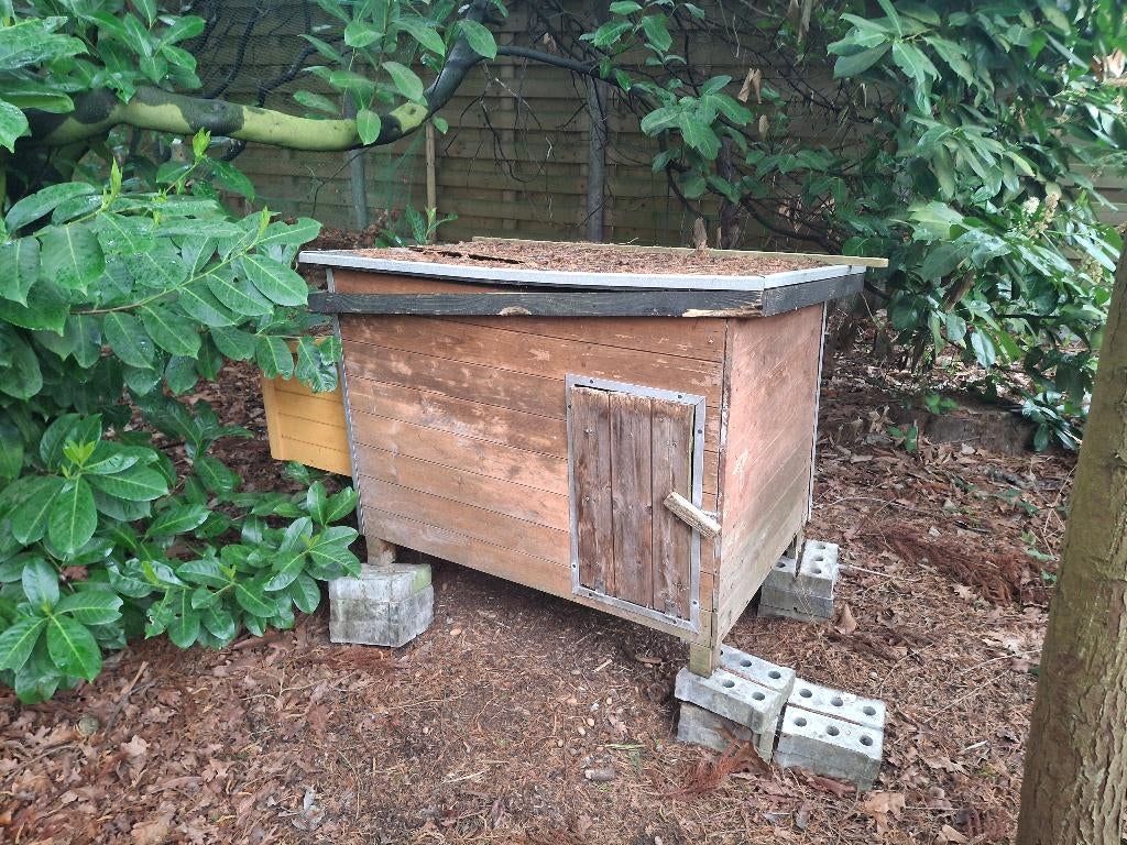 Kippenkot en toebehorende, Januari, Geslacht onbekend