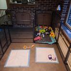 Engelse cocker spaniel pups, België, Particulier, 8 tot 15 weken, Meerdere