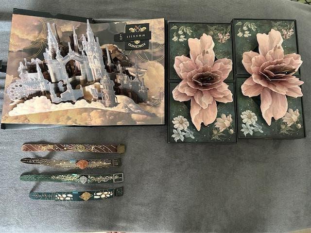 Tomorrowland bracelet boxen and bracelets, Ophalen