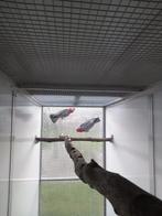 Koppel rose kaketoe, Dieren en Toebehoren, Vogels | Parkieten en Papegaaien, Geringd