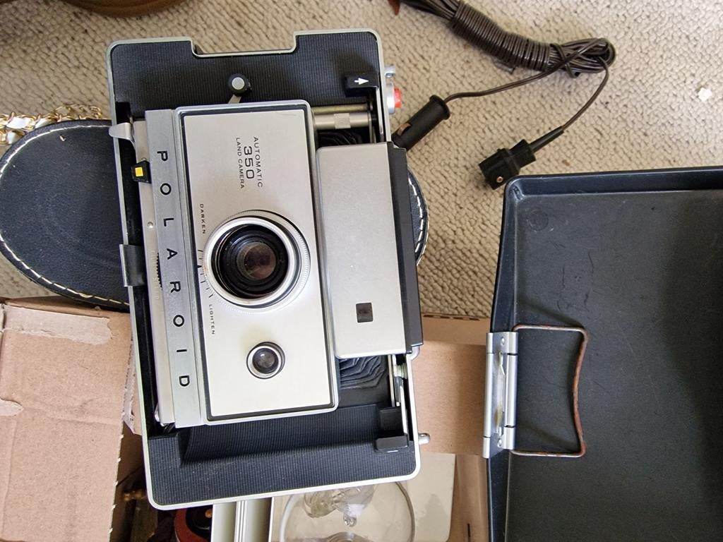 Ancien Polaroïd, Collections, Enlèvement