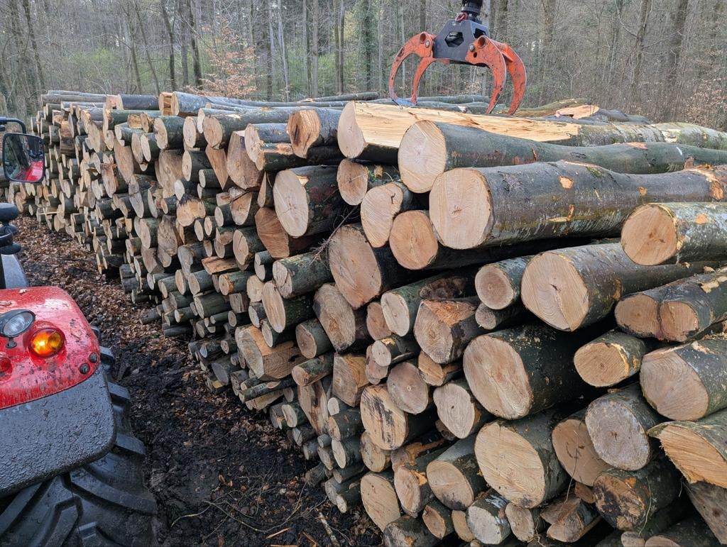 Beuken stammen, Jardin & Terrasse, Bois de chauffage, Troncs d'arbres, Enlèvement