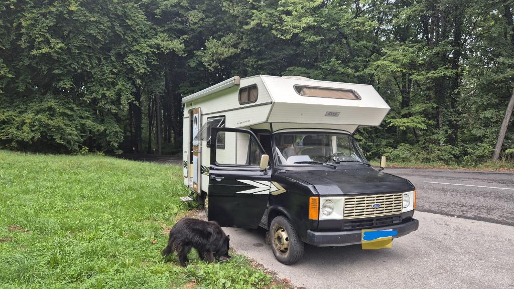 oldtimer camper, Caravans en Kamperen, Mobilhomes, Particulier, tot en met 4, Alkoof, Ford, Ford, Diesel, Handgeschakeld, 5 tot 6 meter