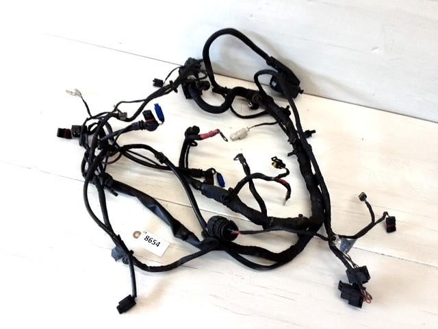 F800ST 2006 - 2012 BMW Kabelboom Kabelboom hoofd D1-51941, Motos