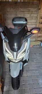 Honda Forza 300, Particulier