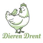 Indische loopeenden 3 trio's, Dieren en Toebehoren