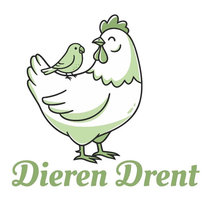 Indische loopeenden 3 trio's, Dieren en Toebehoren, Pluimvee