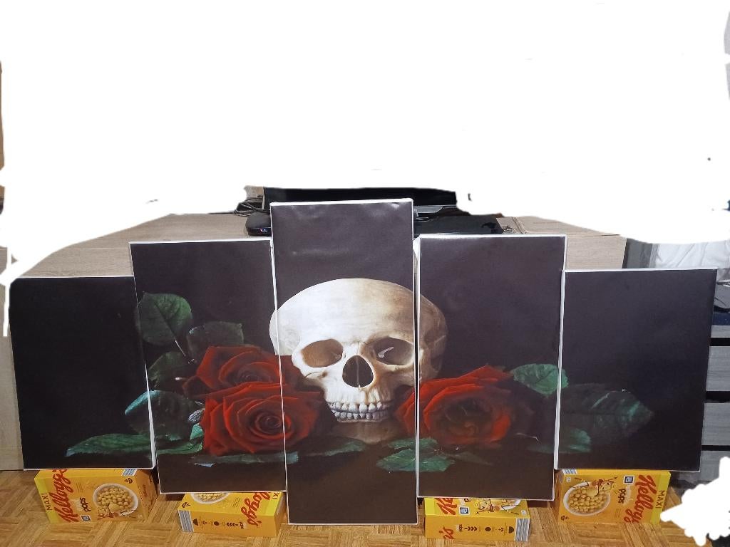 Tableaux en 5 Parties 220*100, sur les cadres, Enlèvement ou Envoi