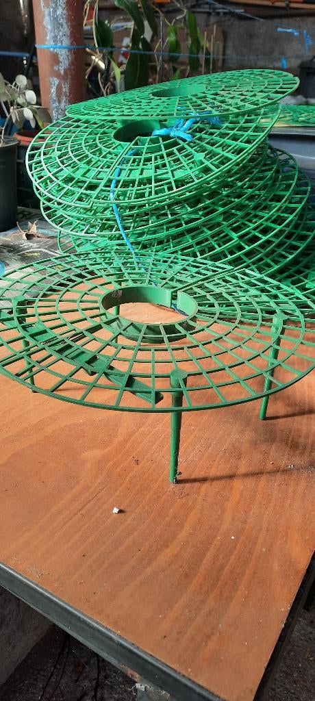 Aardbei, Enlèvement, Plante fixe, Plantes fruitières