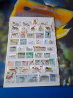 Postzegels otters, Ophalen