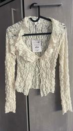 Nieuw wit crèmekleurig kant PULL&BEAR S VEST, Wit, Nieuw, Ophalen of Verzenden, Pull&bear