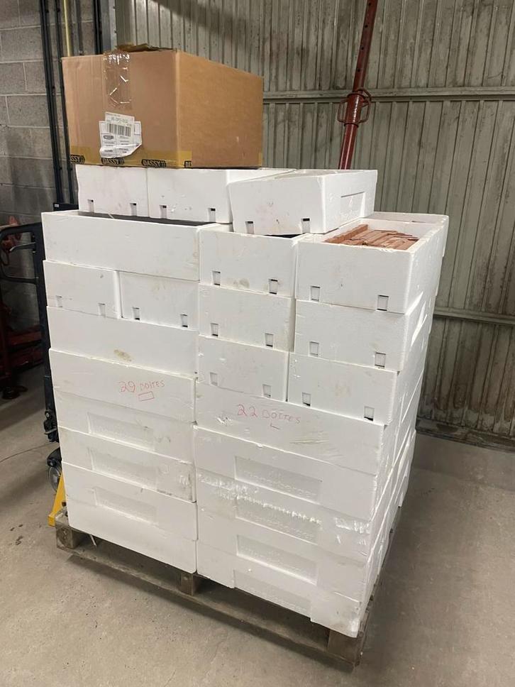 Plaquette de brique, Bricolage & Construction, Briques, Neuf, Briques, Enlèvement