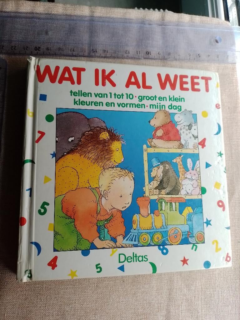 wat ik al weet tellen vormen groot klein kleuren mijn dag, Boeken, Ophalen of Verzenden, Zo goed als nieuw