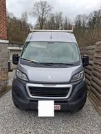 Vend ou échange boxer, Enlèvement ou Envoi