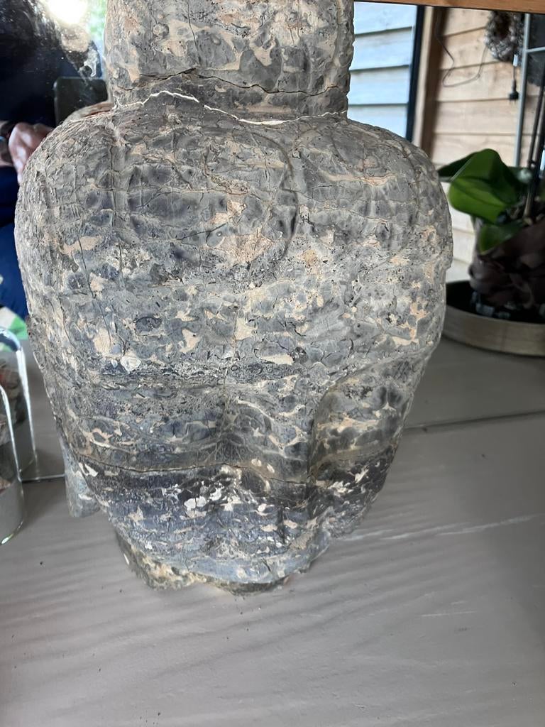 Hoofd beeld, Antiek en Kunst, Ophalen, Natuurlijk materiaal, Overige typen, Overige onderwerpen