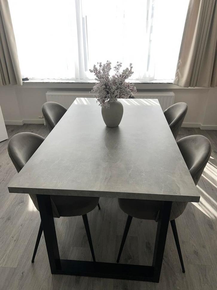 Eettafel + Stoelen, Huis en Inrichting, Tafels | Eettafels, Zo goed als nieuw, Vijf personen of meer, Rechthoekig, Ophalen