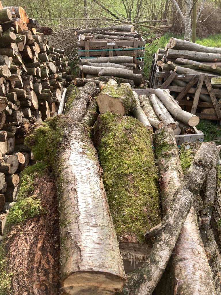 Bois frais coupe en 1 m non fendu, Jardin & Terrasse, Bois de chauffage, Enlèvement