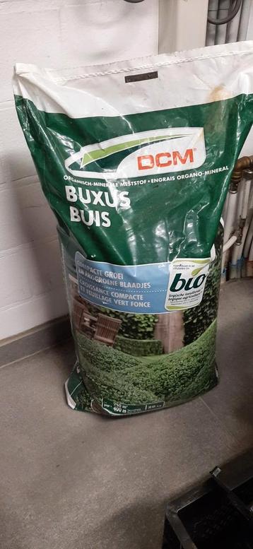 DCM Buxus  disponible aux enchères