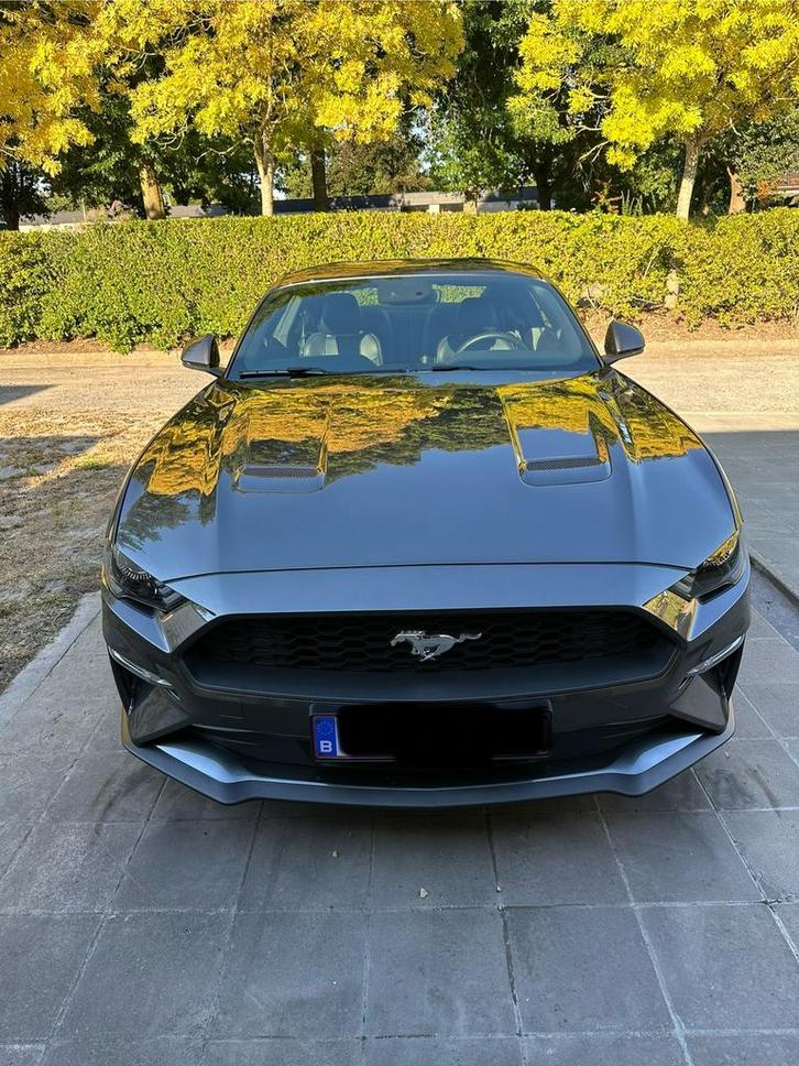 Ford mustang 2019 2.3 ecoboost fastback slechts 13.000km!!!!, Auto's, Ford, Particulier, Mustang, ABS, Achteruitrijcamera, Adaptieve lichten