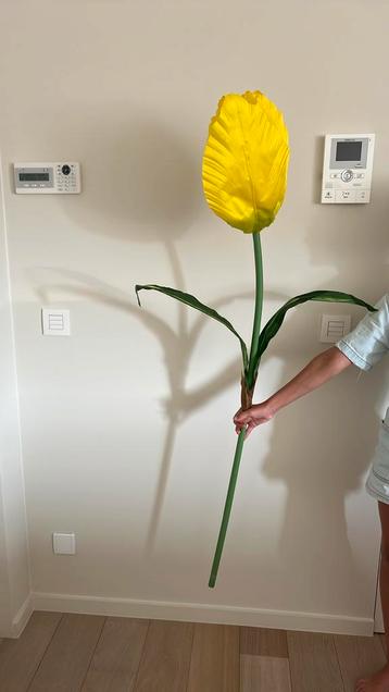 Xl bloem. Tulp geel beschikbaar voor biedingen