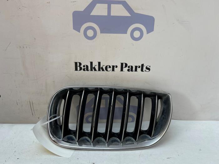 Grille van een BMW X3, Auto-onderdelen, Carrosserie, BMW, Gebruikt, 3 maanden garantie