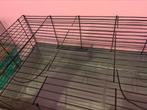 Cavia hok, Dieren en Toebehoren, Knaagdieren en Konijnen | Hokken en Kooien, Ophalen, Zo goed als nieuw, Hok, Cavia