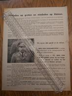Leuven Bevrijding Partizaan 1944 Wapenstilstand Militie VNV, Collections, Objets militaires | Général, Photo ou Poster, Autres