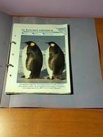 17 fiches sur les animaux éditions Atlas vintage 1990, Enlèvement