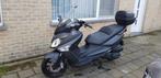 Sym GTS 300i ABS 2019, 1 cylindre, Sym, Scooter, Particulier