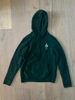 Wollen trui met capuchon en Polo Bear, Kleding | Heren, Ophalen of Verzenden, Zo goed als nieuw, Groen, Polo Ralph Lauren