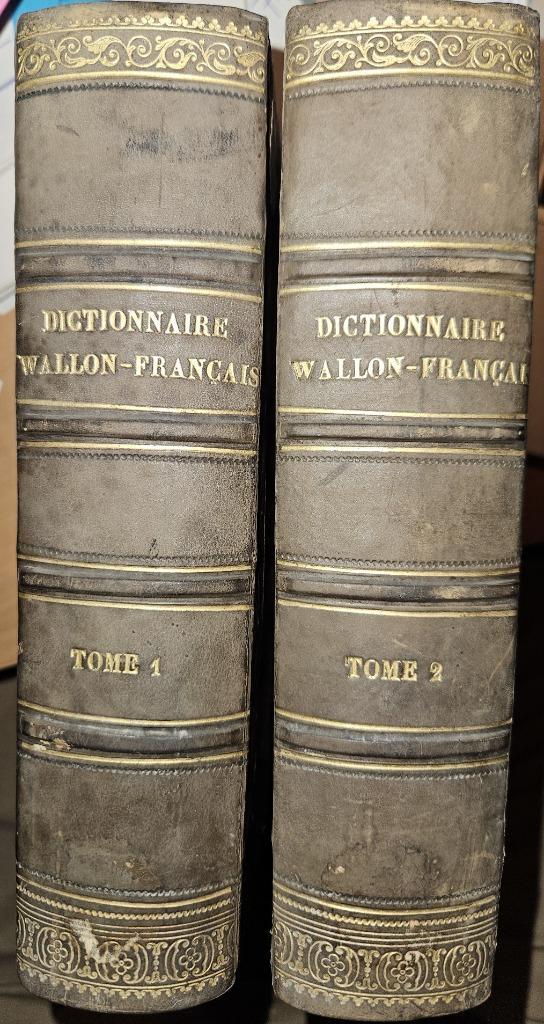 Dictionnaire Wallon-Français, Boeken, Woordenboeken, Gelezen, Frans, Overige uitgevers, Ophalen of Verzenden