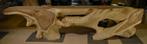Boomstam console, Huis en Inrichting, Tafels | Sidetables, Ophalen, Natuur etnisch, Overige vormen, 25 tot 50 cm