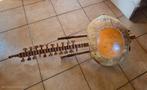 instrument de musique kora africain avec housse, Muziek en Instrumenten, Ophalen, Zo goed als nieuw