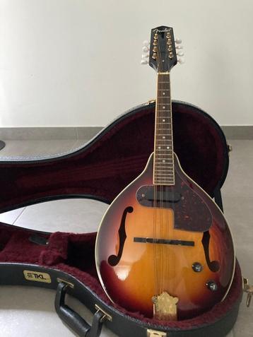 Electro-akoestische mandoline Fender met luxe koffer