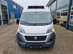 Fiat Ducato 2.3 130 pk Koelwagen Xarios 300 st 230V +20C / -, Voorwielaandrijving, Gebruikt, Euro 6, Wit